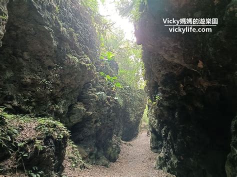 盤龍峽|【大崗山秘境】真的像叢林探險家般的高雄景點， 盤龍峽谷